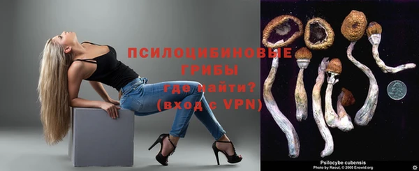 индика Щучье