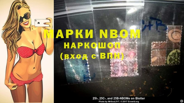 индика Щучье